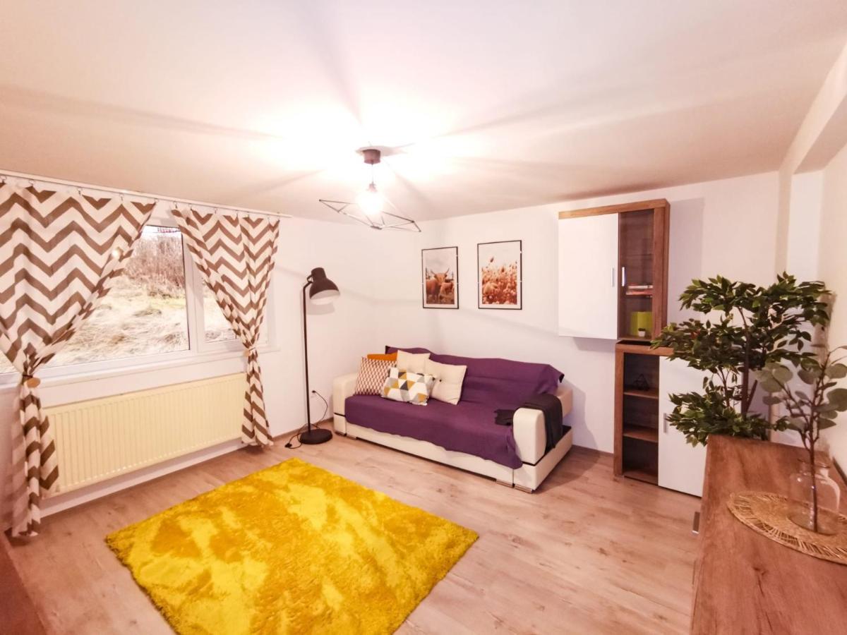 105500 Apartment Buşteni Eksteriør billede