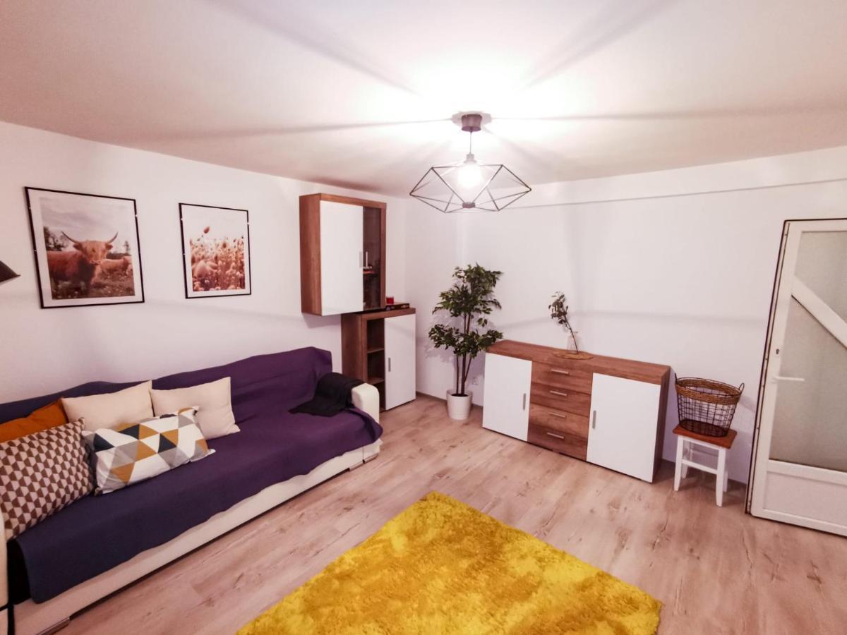 105500 Apartment Buşteni Eksteriør billede